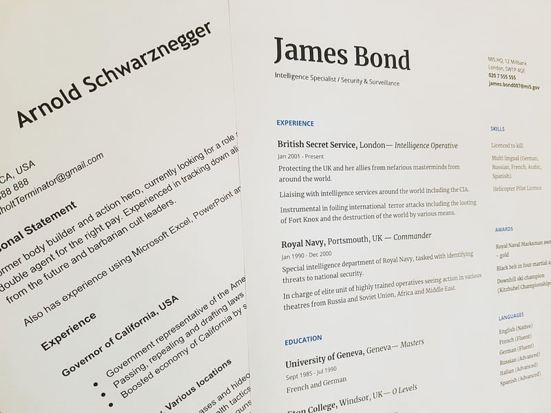 Job Experience
